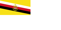 Королівські військово-морські сили Брунею