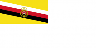 Royal Brunei Navy