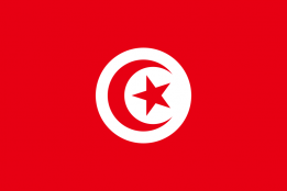 Национальные военно-морские силы Туниса