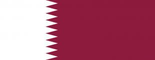 Военно-морские силы Катара