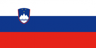 Військово-морський дивізіон Збройних Сил Словенії