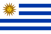 Національні військово-морські сили Уругваю