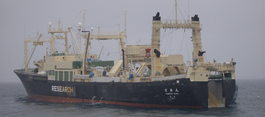 Китобойное промысловое судно Nisshin Maru