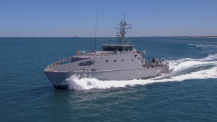 Patrol boat HMPNGS Ted Diro (P 401) 0