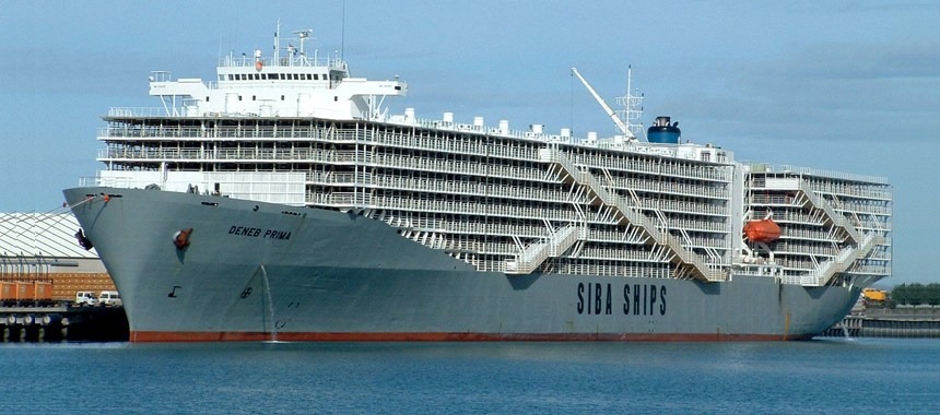 Noah's ark of our time is a livestock carrier Stella Deneb