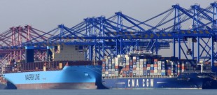 Лидирующие компании морских перевозок создают единый Альянс