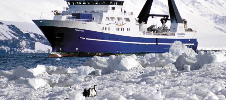 Пингвины и научное судно