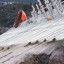 Спасатели нашли тела еще восьми жертв «Costa Concordia»