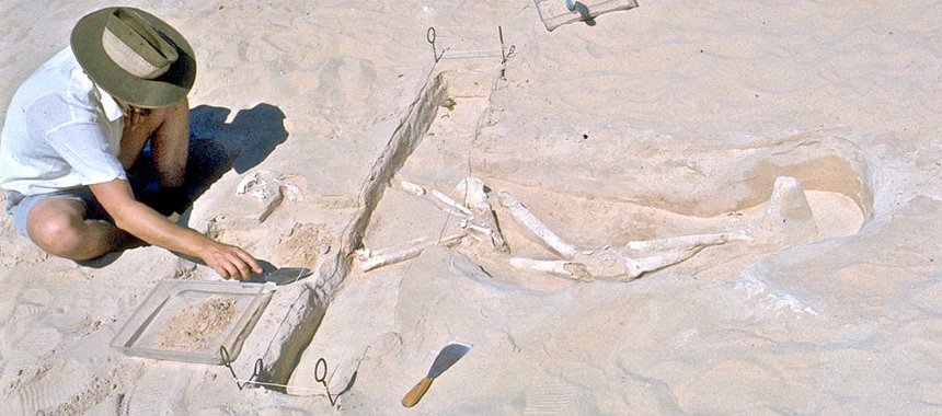 Обнаруженные останки в Австралии