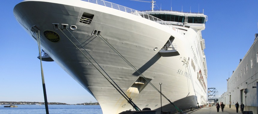 Профилактика круизного лайнера «Sea Princess»