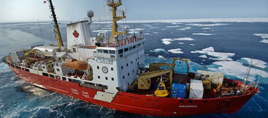 Научно-исследовательский ледокол CCGS Amundsen