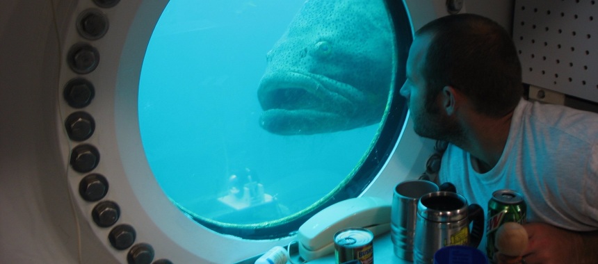 Частые гости подводной лаборатории