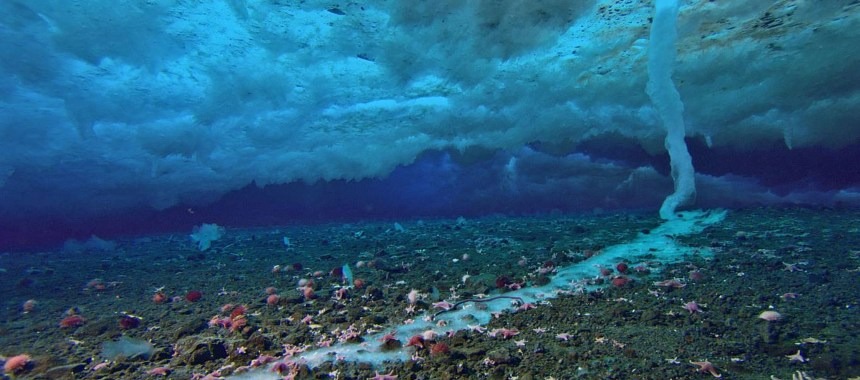 ТОП удивительных океанских явлений
