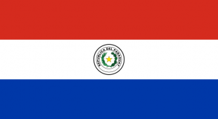 Военно-морские силы Парагвая