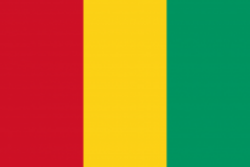 Военно-морские силы Республики Гвинея