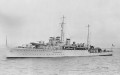 Новозеландский дивизион Королевского военно-морского флота Великобритании 5