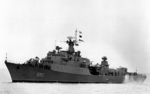 Сторожевые корабли проекта 1159 типа «Дельфин» 1