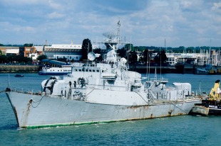Сторожевой корабль «Нерпа» (693) 0