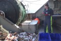 Администрация рыбного хозяйства Австралии 6