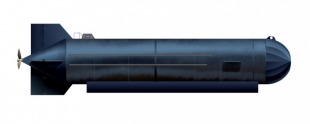 Безэкипажные подводные аппараты-камикадзе типа «Маричка» 1